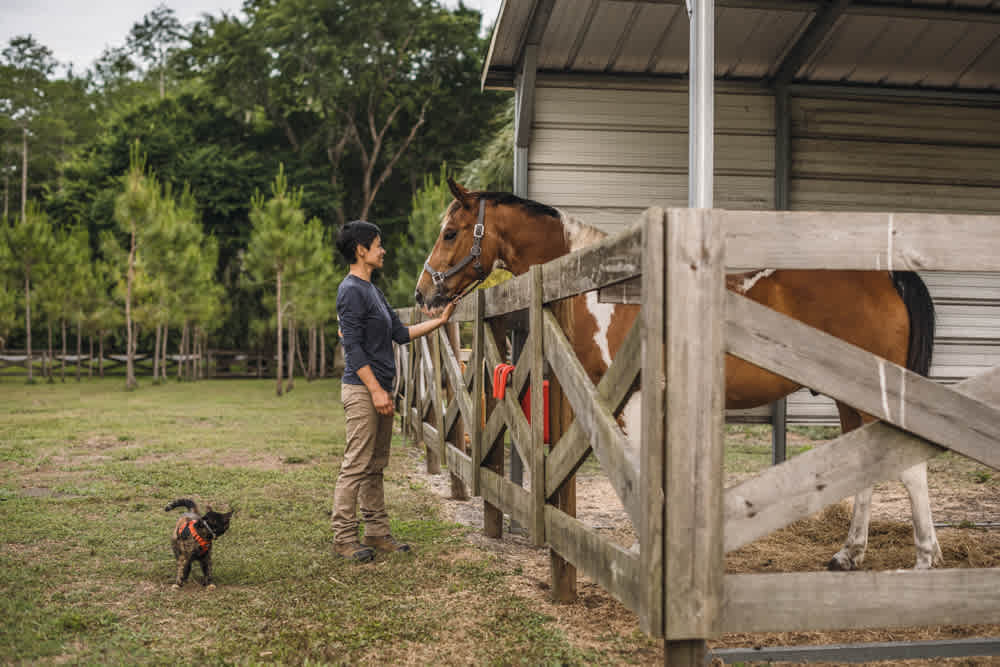 We loved meeting Iron, a beautiful horse that Frank rescued 18 years ago