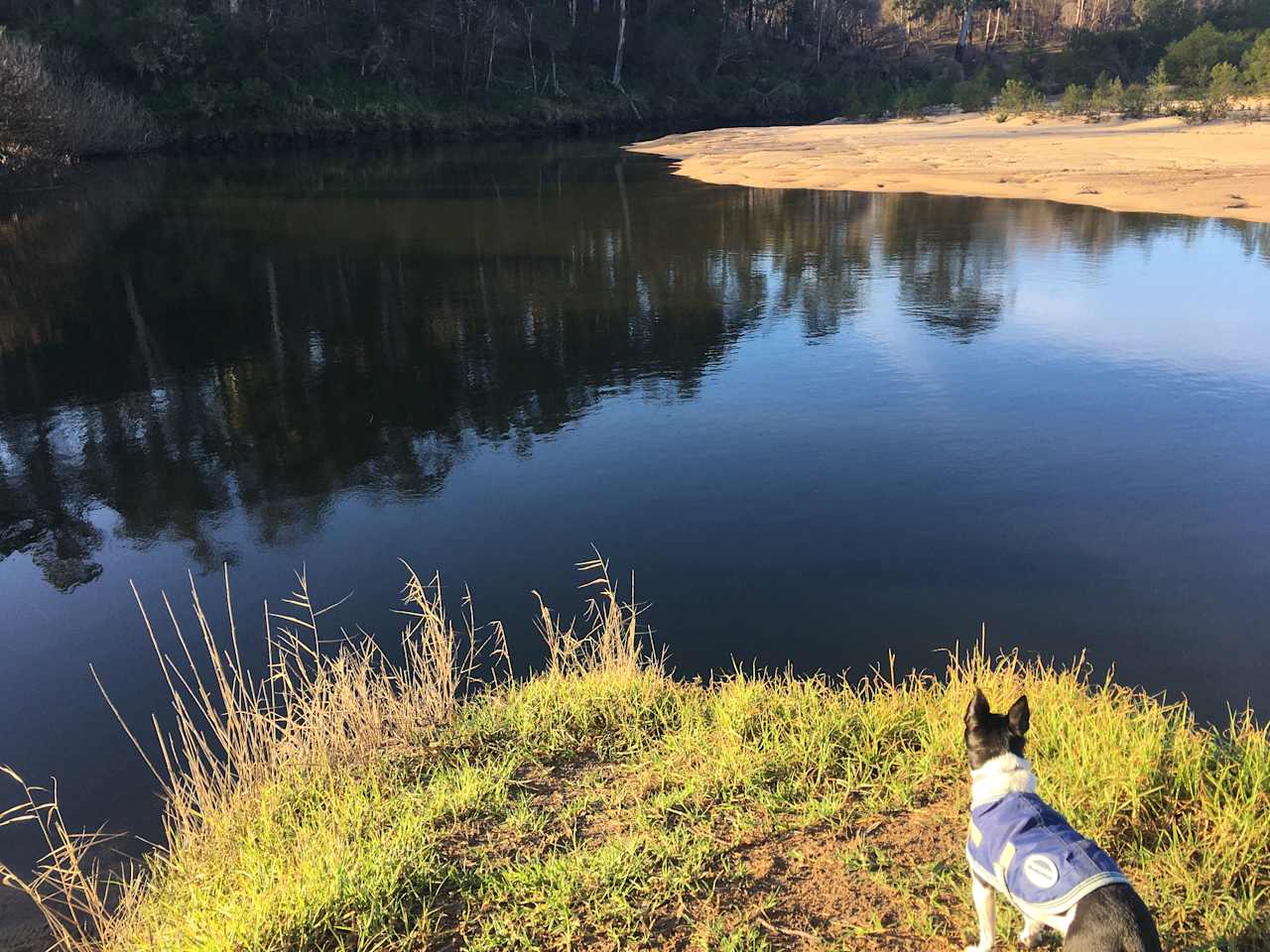 Richard over looking the beautiful river 