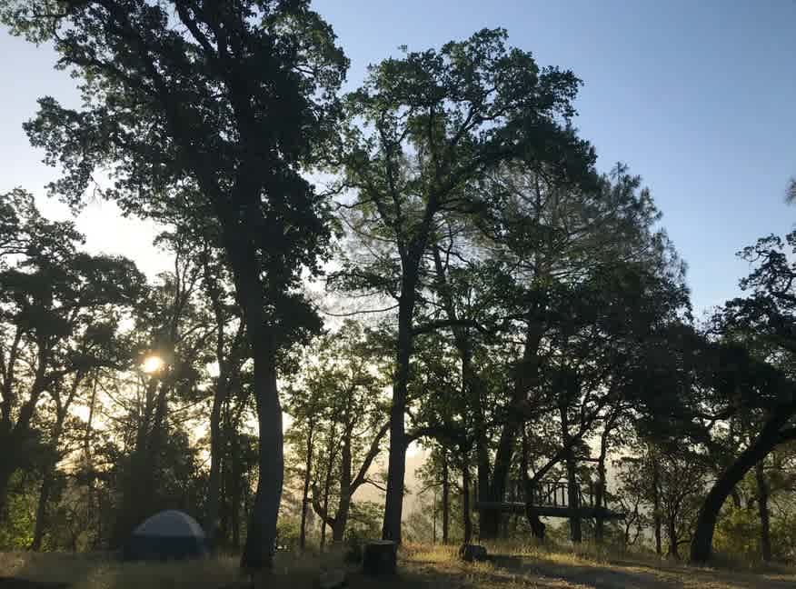 Site #6 with tent at sunrise