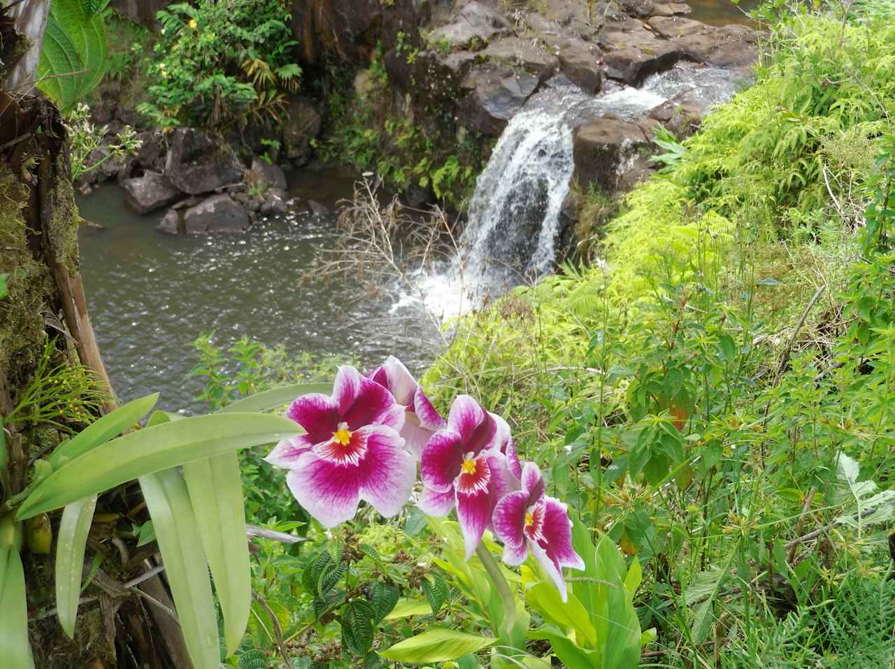 Main waterfall (not visible from cabins)