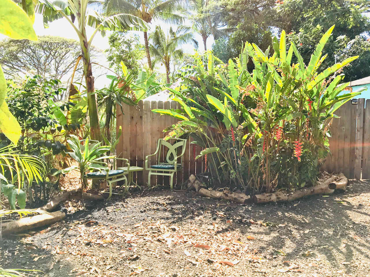 Your cozy tropical parking spot 