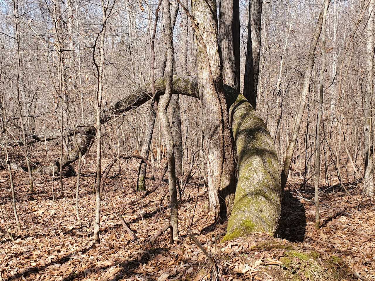 Point Pleasant Nature Preserve