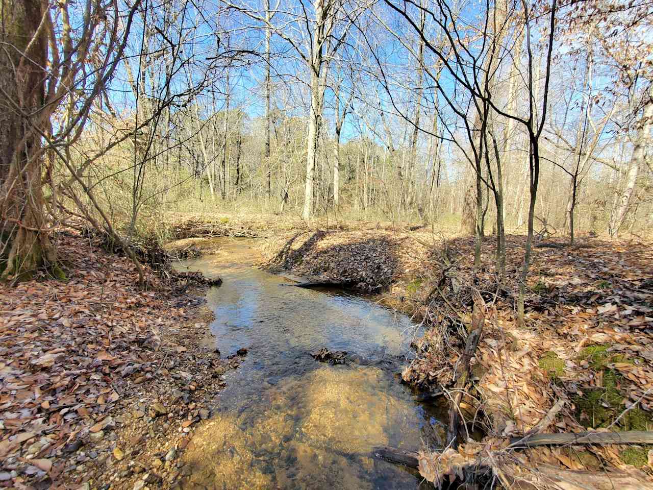 Point Pleasant Nature Preserve