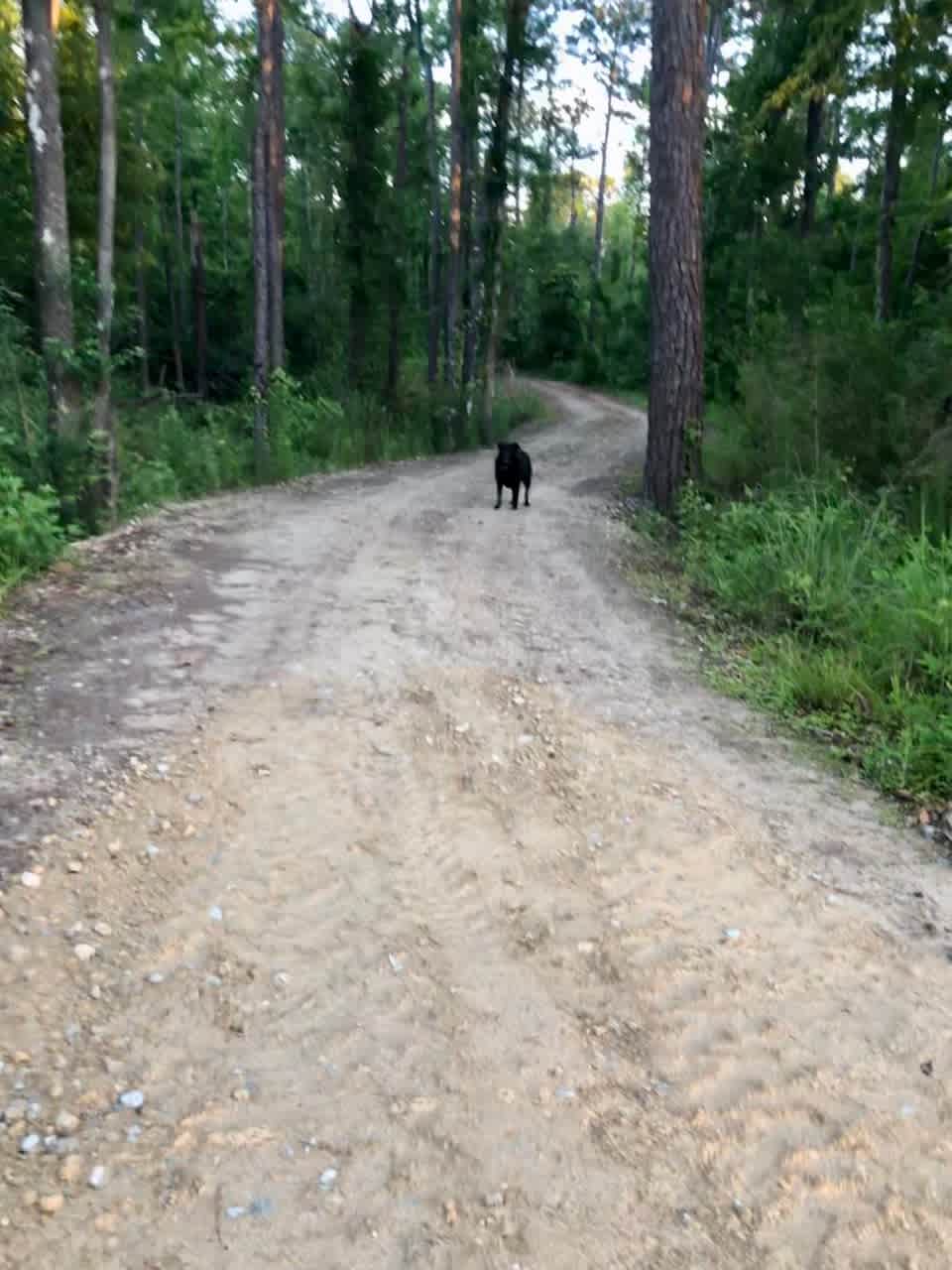 The Long and Winding Road that leads to your RV site!