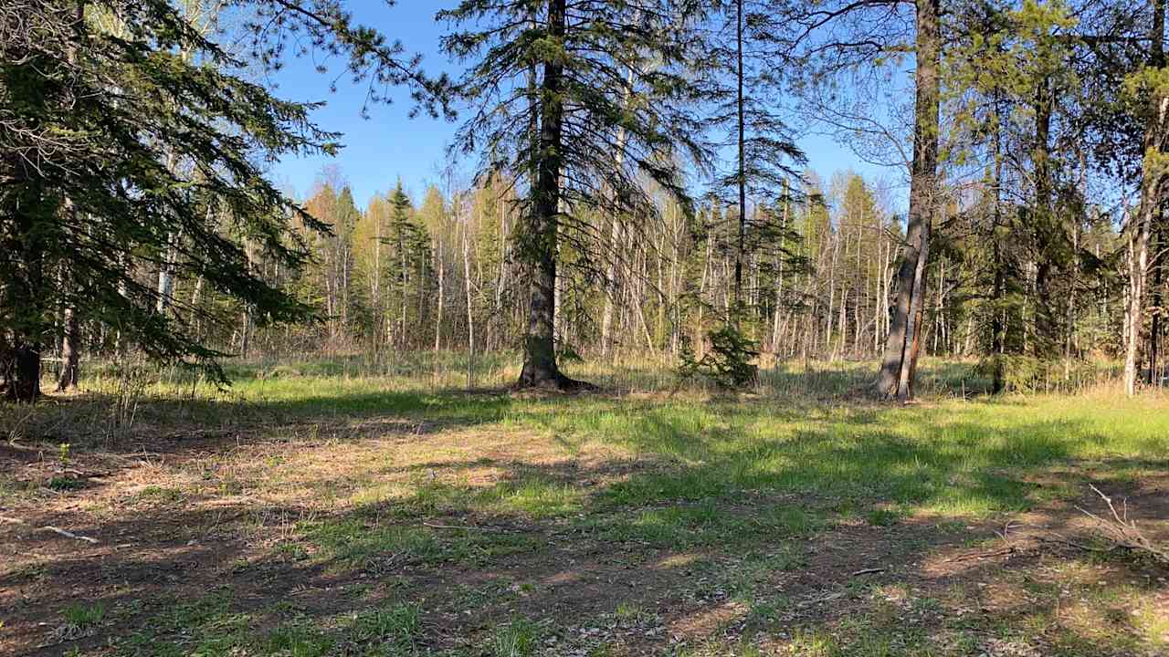 Backwoods Wilderness Camping