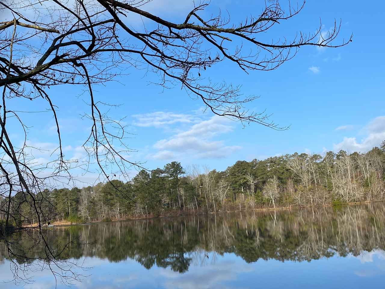 Incredible nature camp!