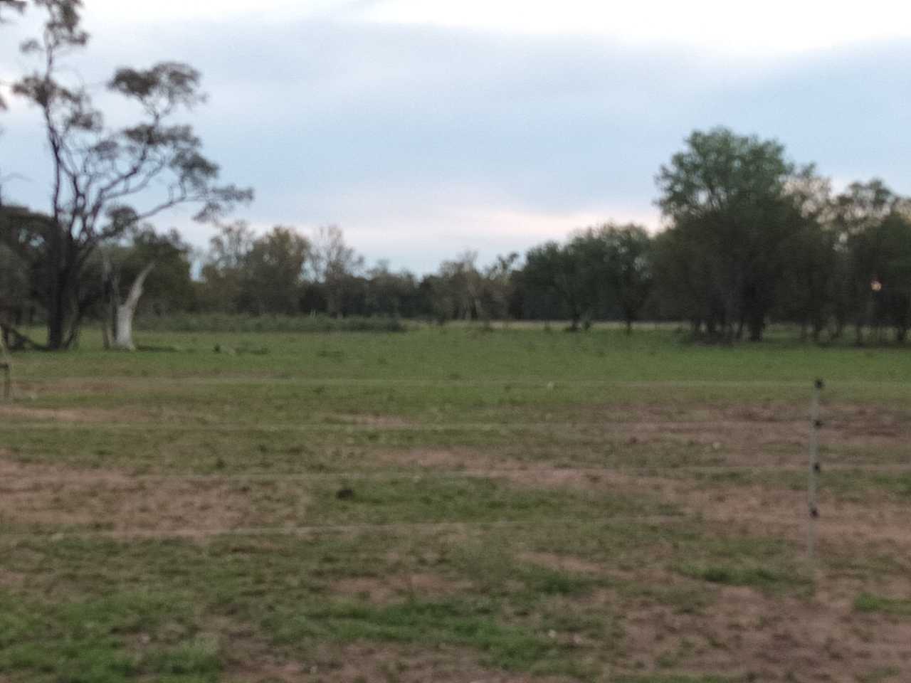 Brigalow Creek Camp