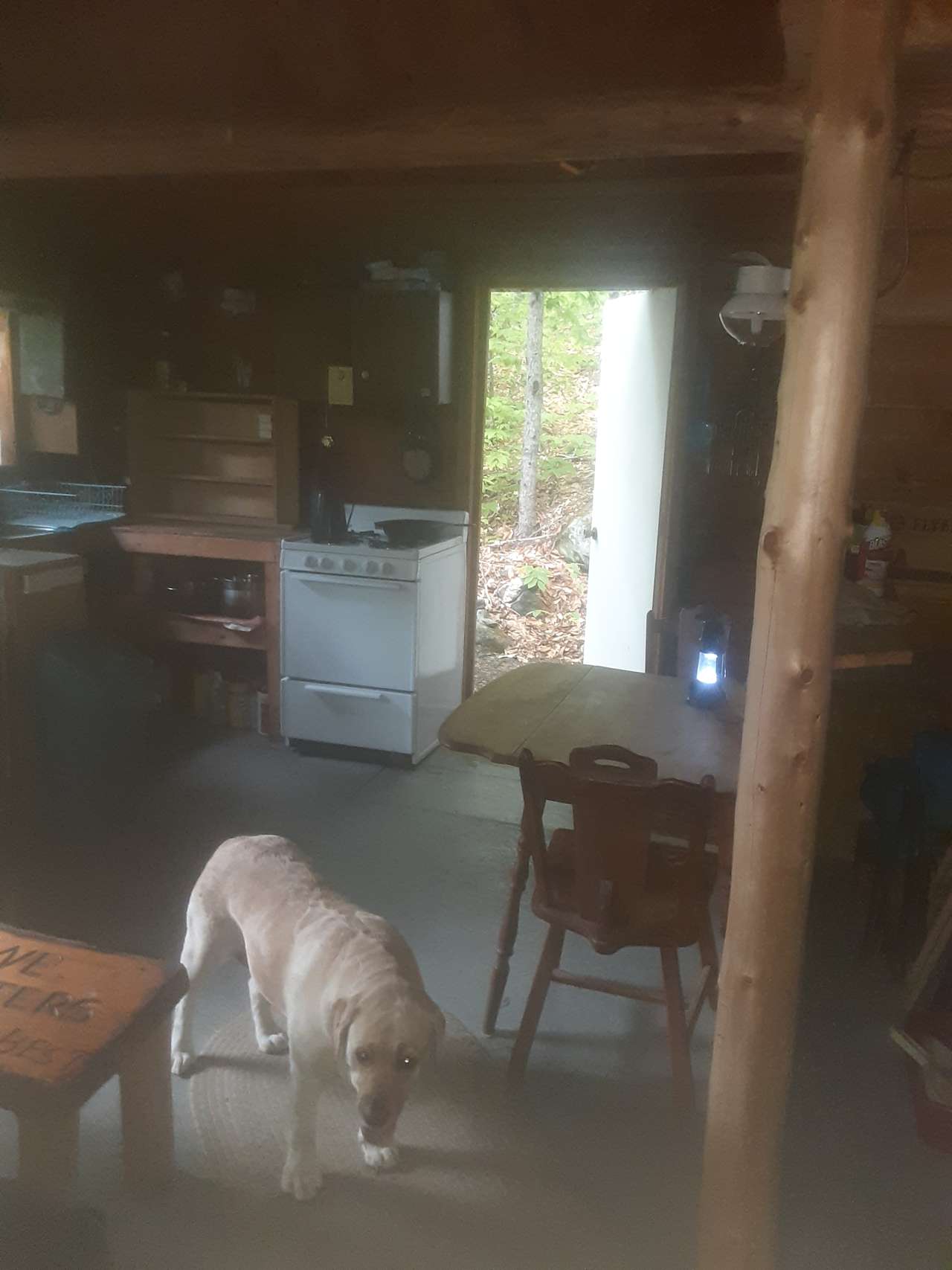 Kitchen area near back door. Stairs to loft are to right of back door.