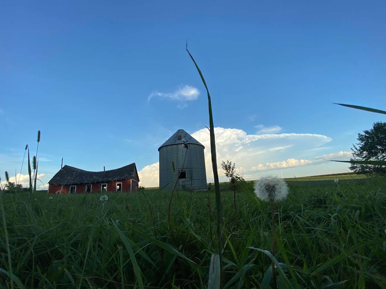 Private Camping on a Farm