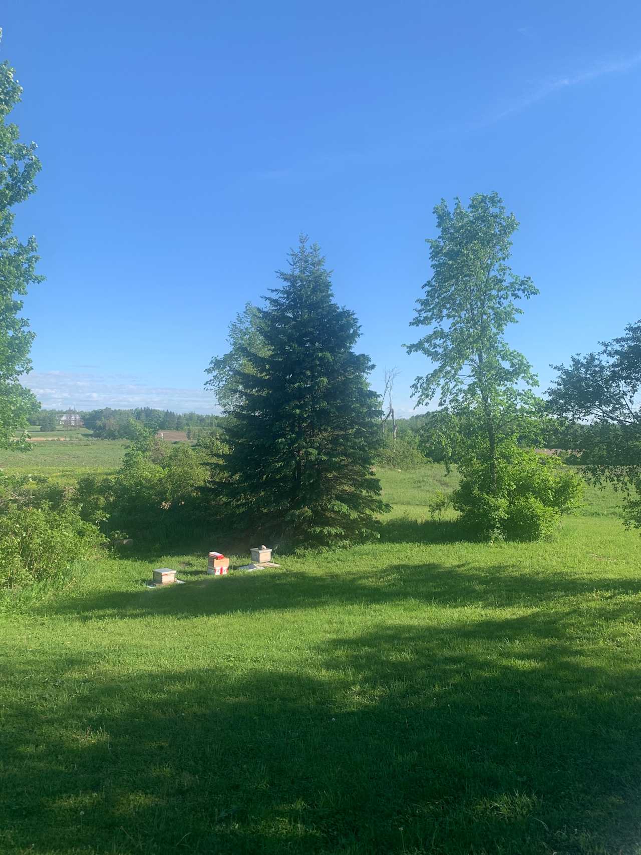 Fields and Woods in Glen Robertson