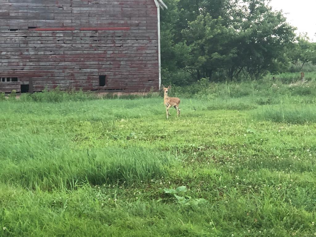 Private Camping on a Farm