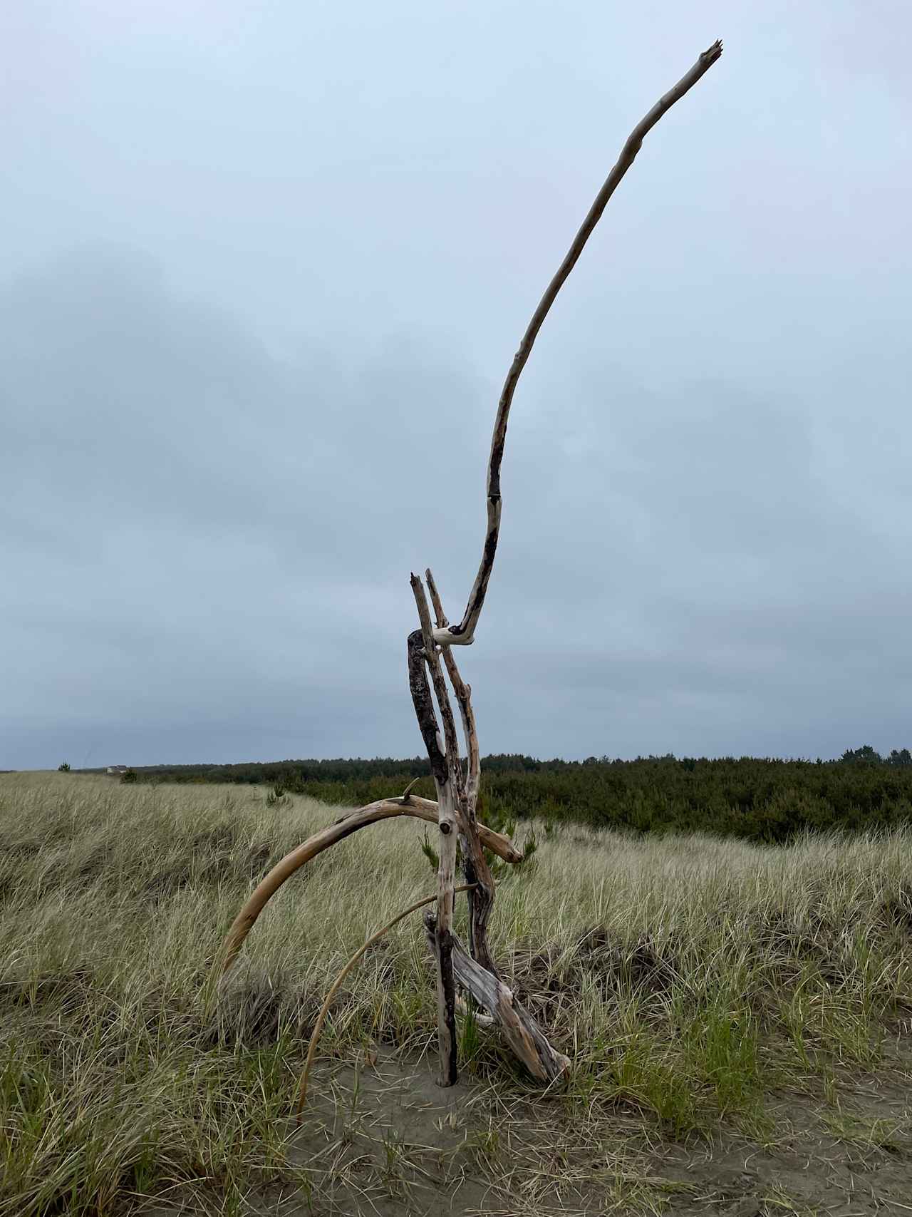 The trail marker 