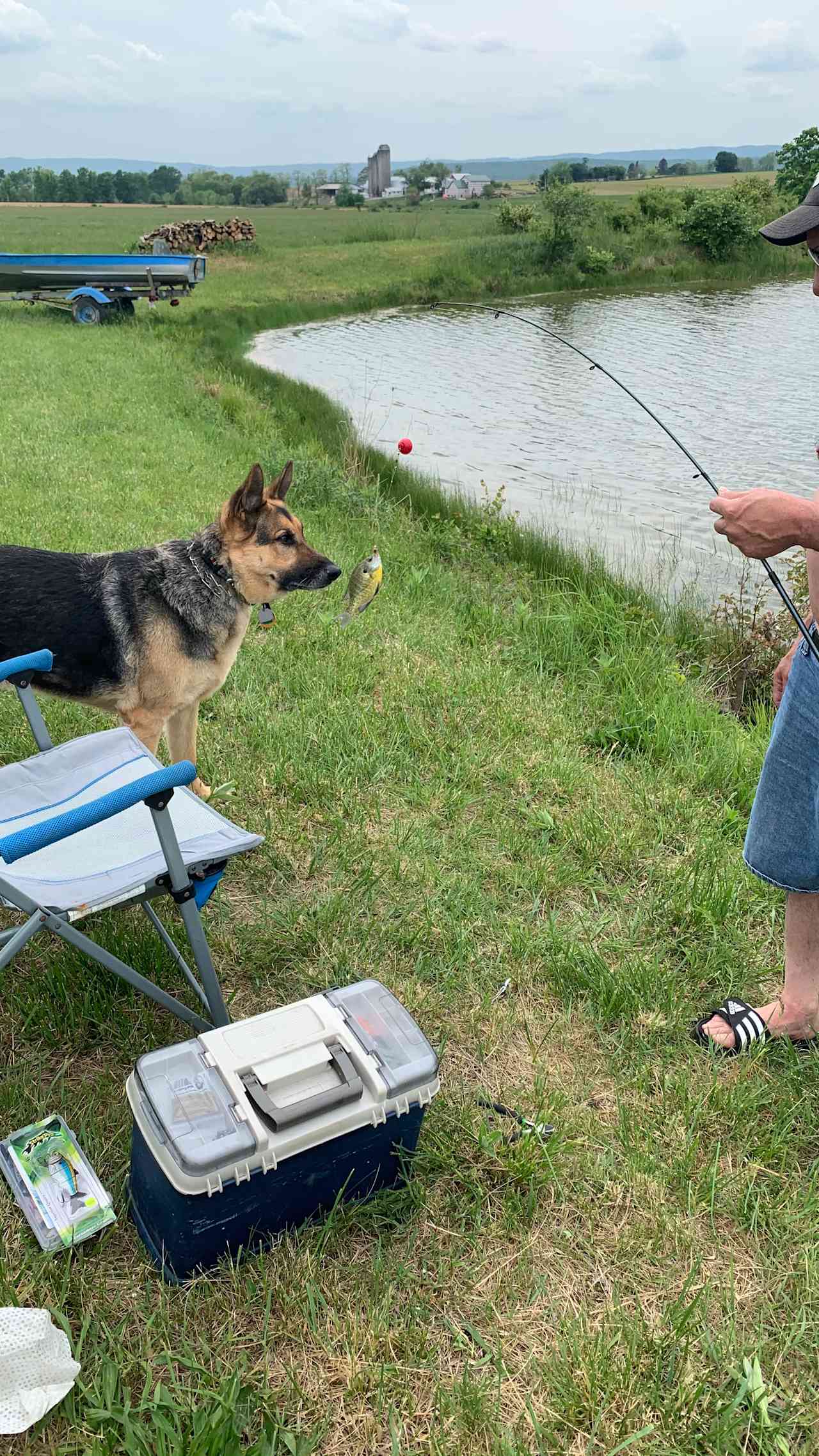 Paradise By The Pond