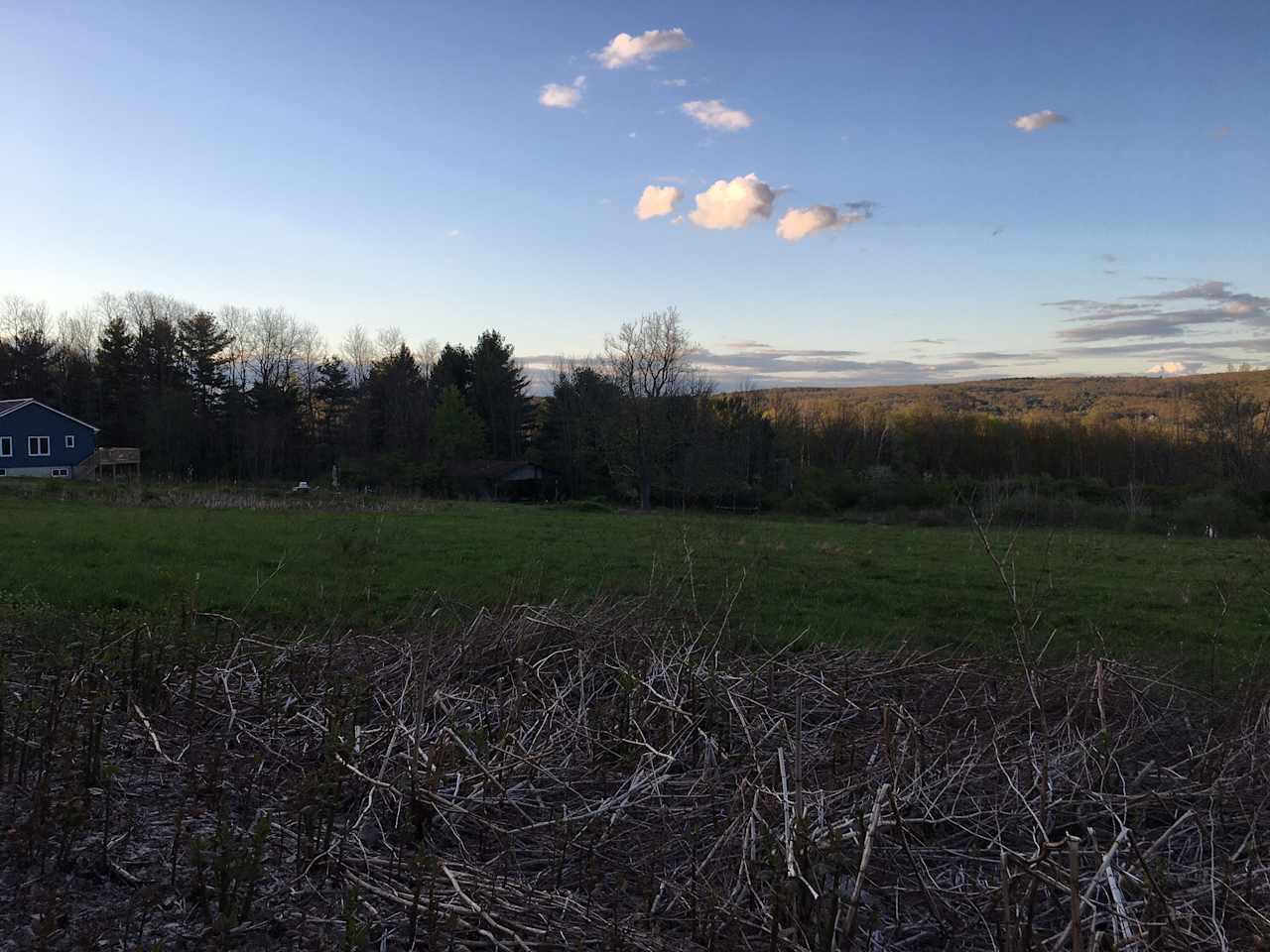 A view of the property from the road looking north west.