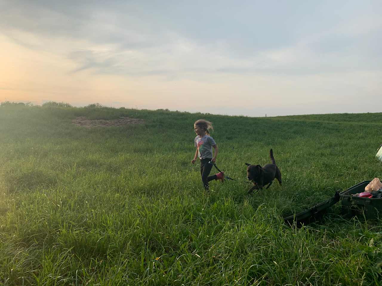 Sweet Grass Dairy a Regenerative Family Farm