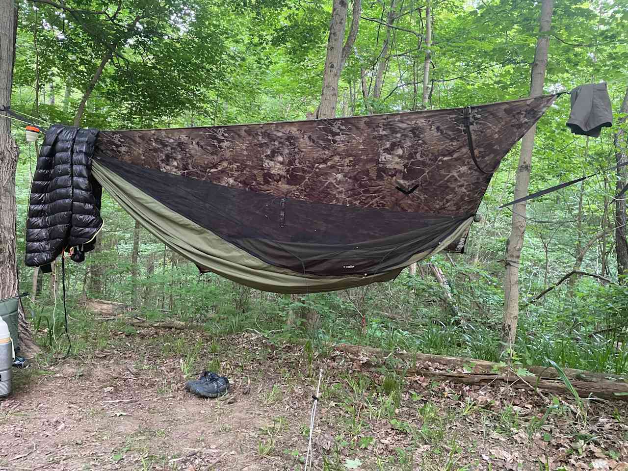 Every site has lots of hammock potential, 