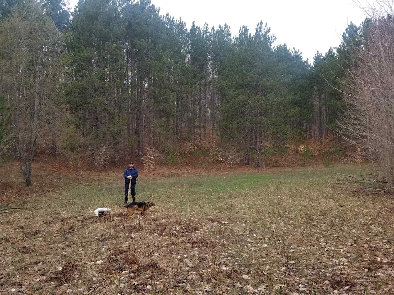 Second meadow for camping, must hike in and cross creek to access this spot.