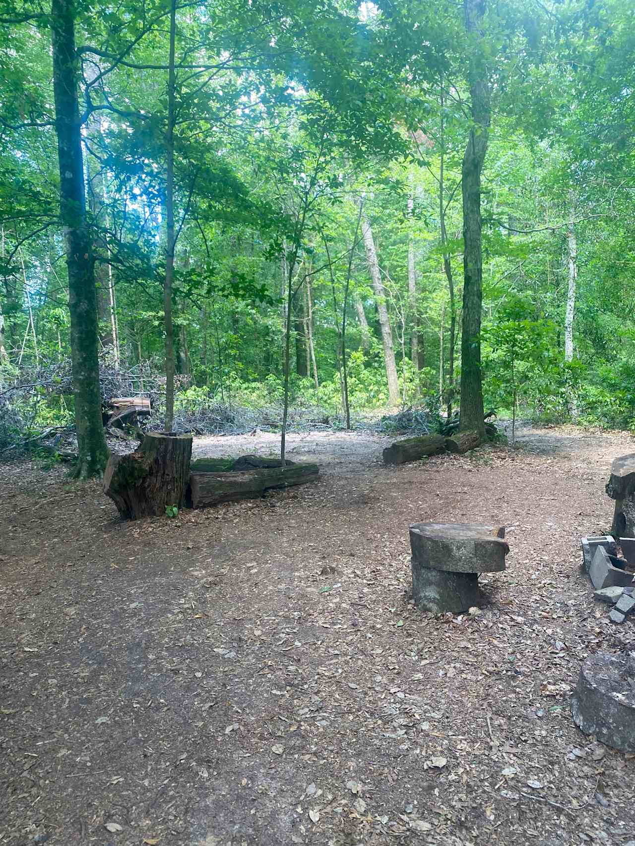 Large wooded site has spots for up to 5 tents.