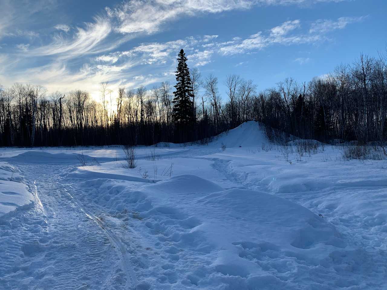 Secluded Boreal Forest Camping