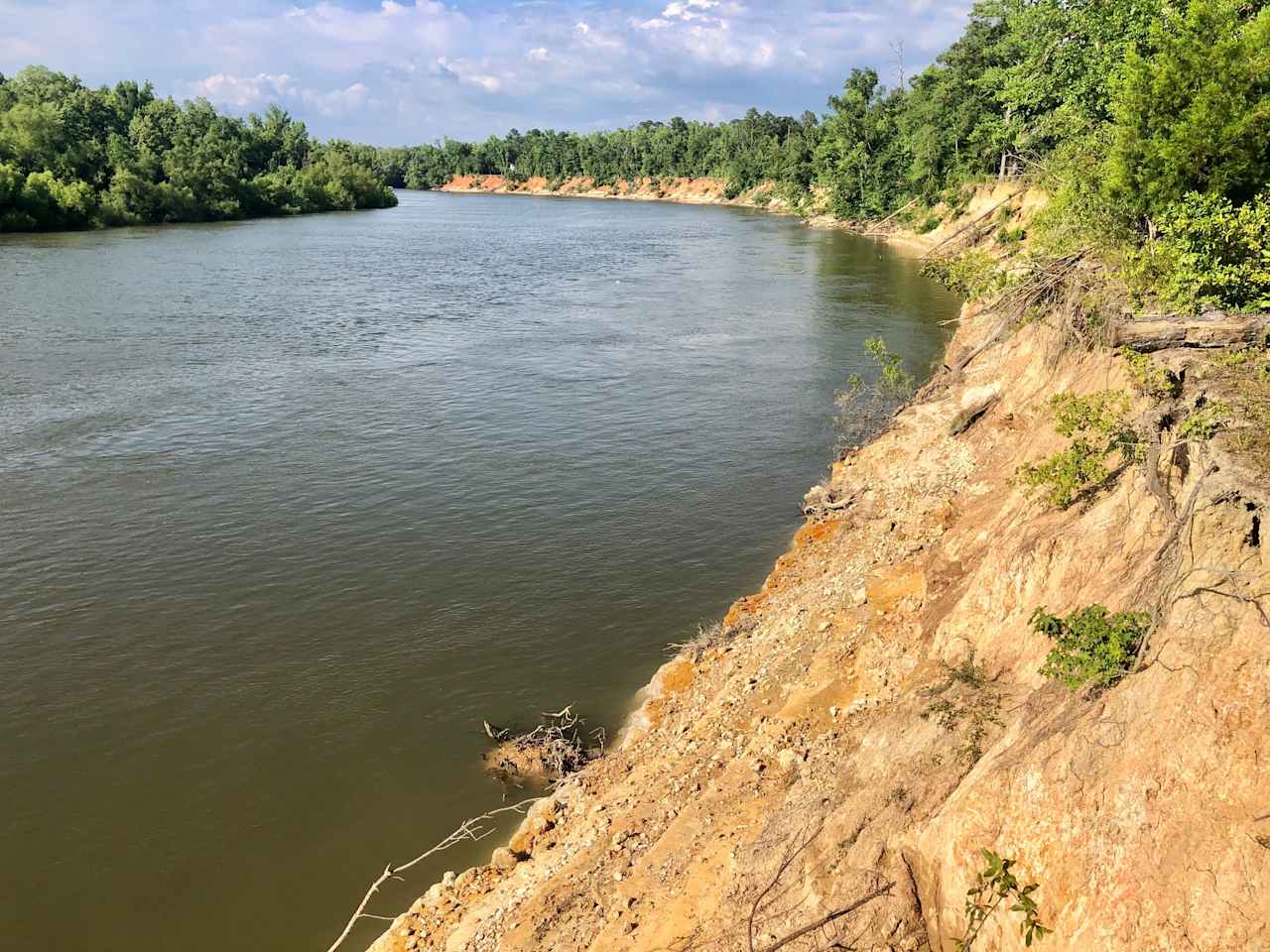 Looking upstream. Great view from the top of our cliff!