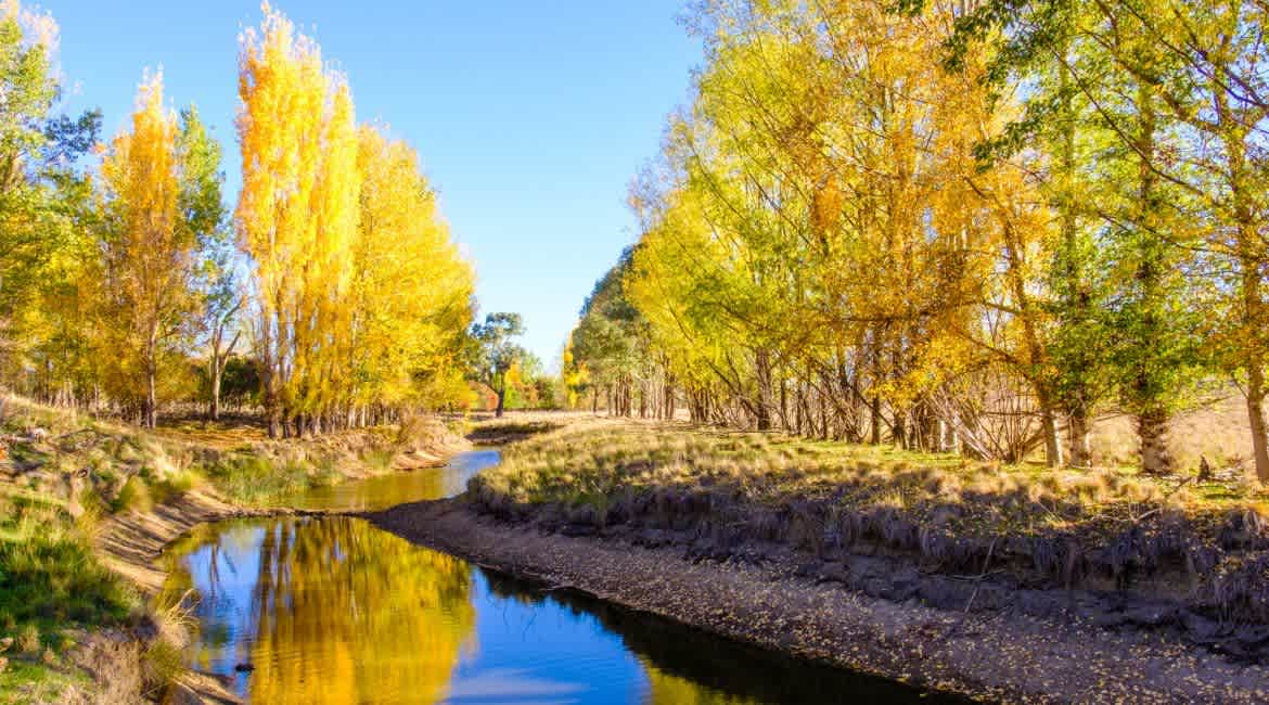 Taylors Run Farm Camping