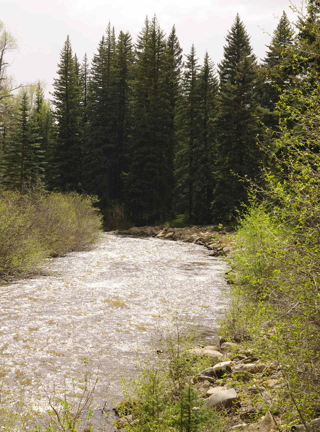 West Dolores River during high flow, spring run off / loop B end of the campground.