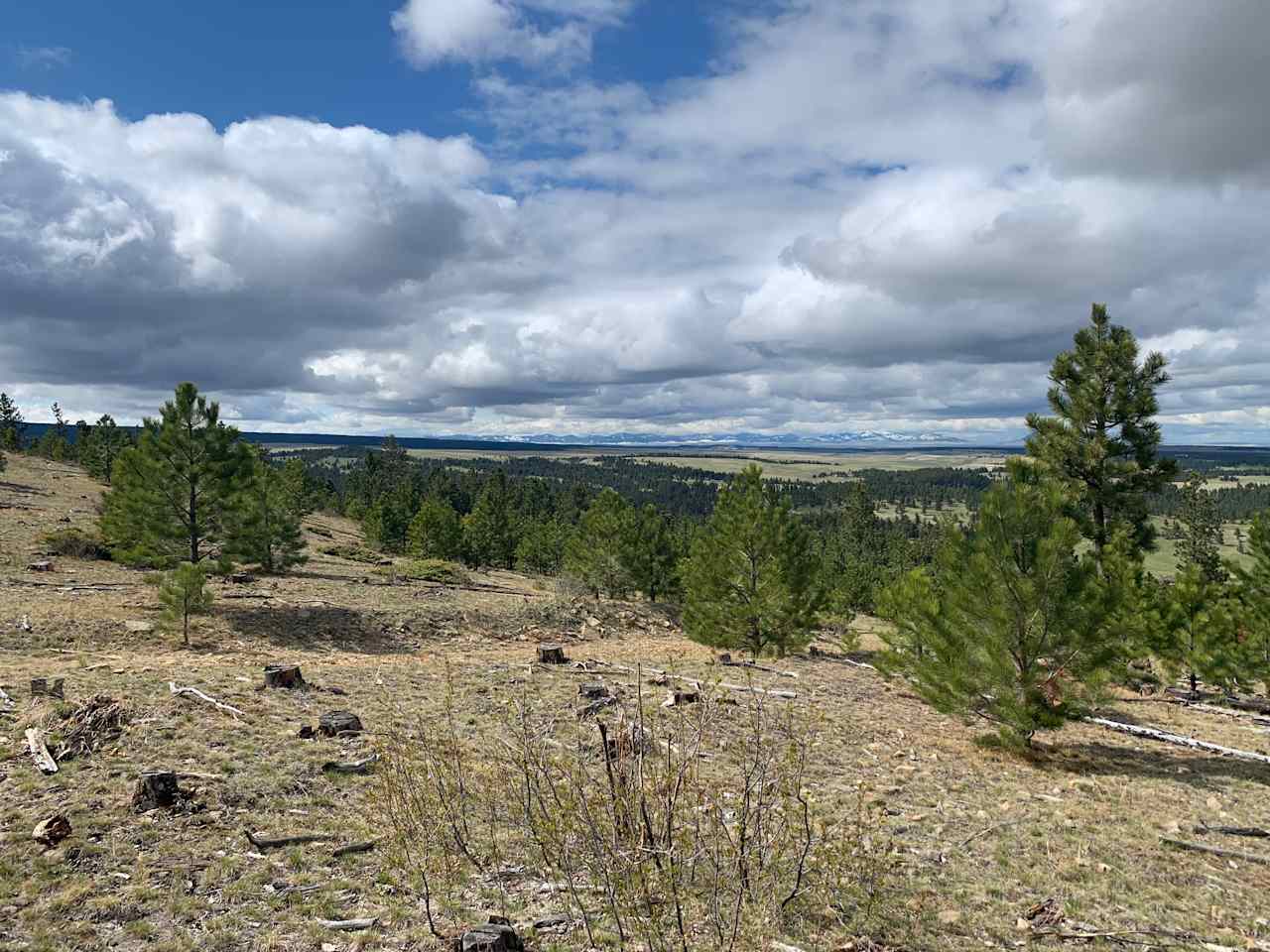 Scenic vista from the south ridge looking north toward the Judith Mountains. 