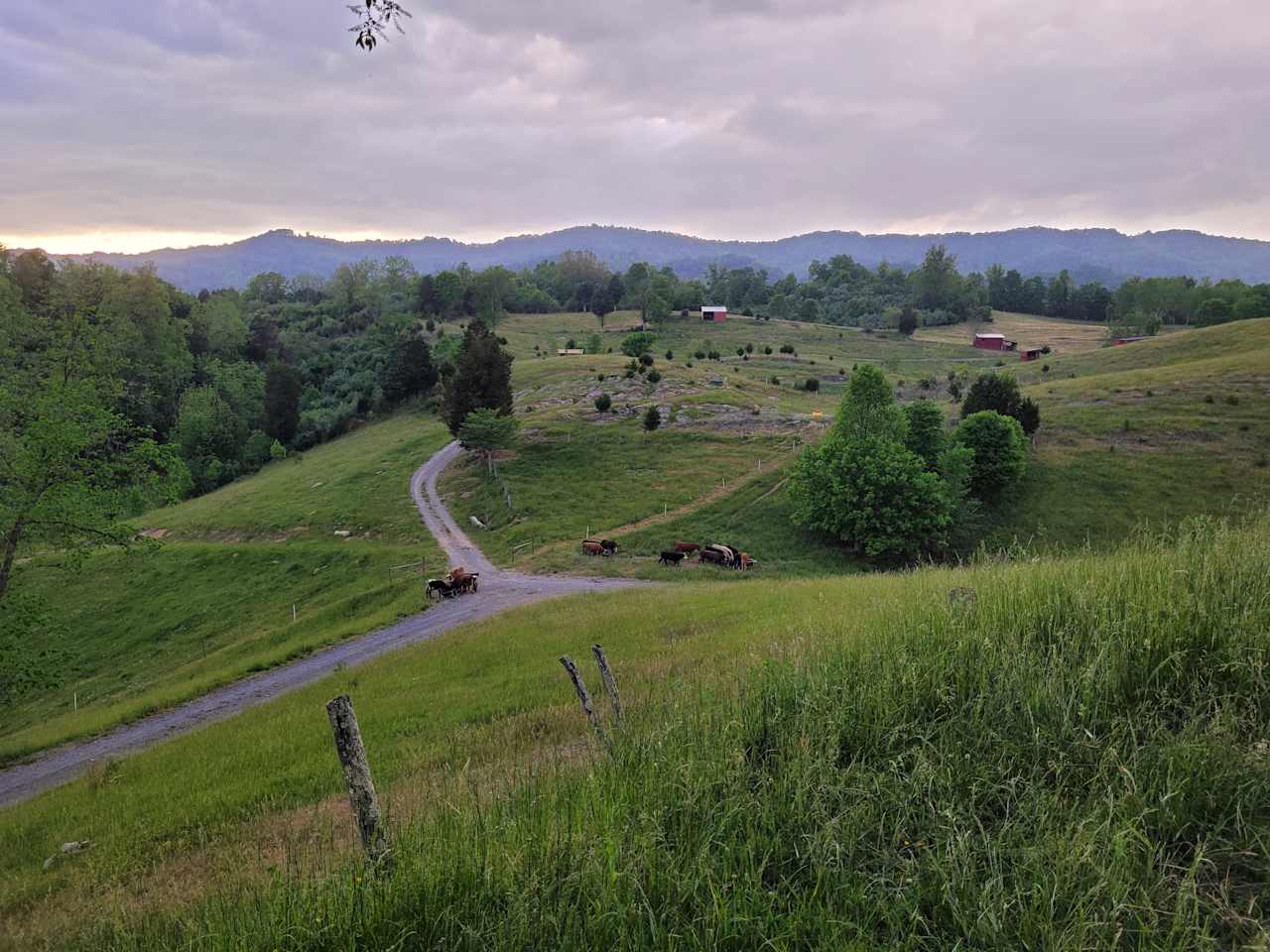 Buffalo Ridge Mountains