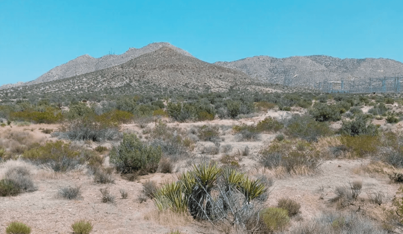 Hip High Desert Peace Camp