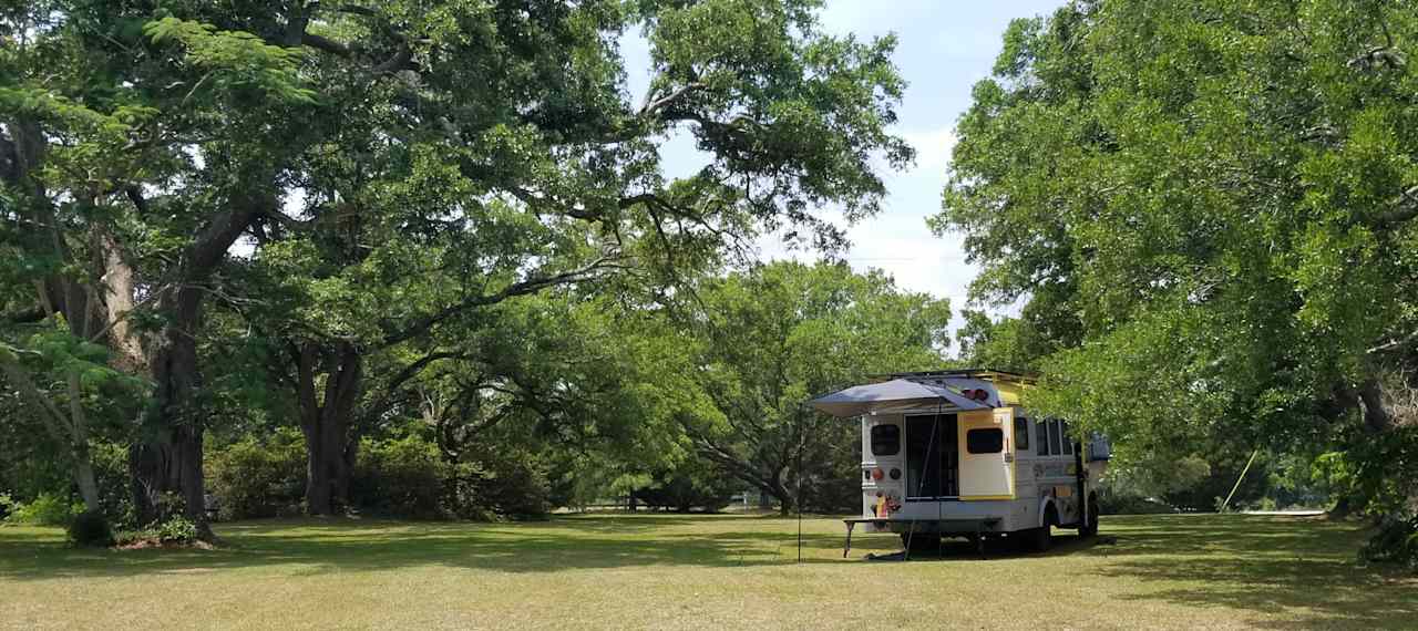 Live Oaks Farm