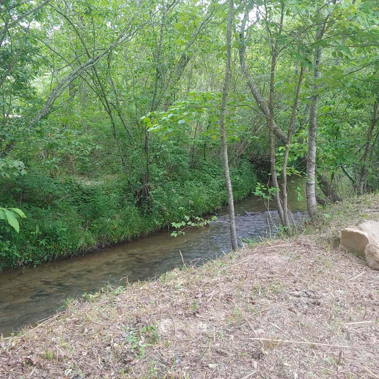 Site 3 has little more shade and nice creek bottom.