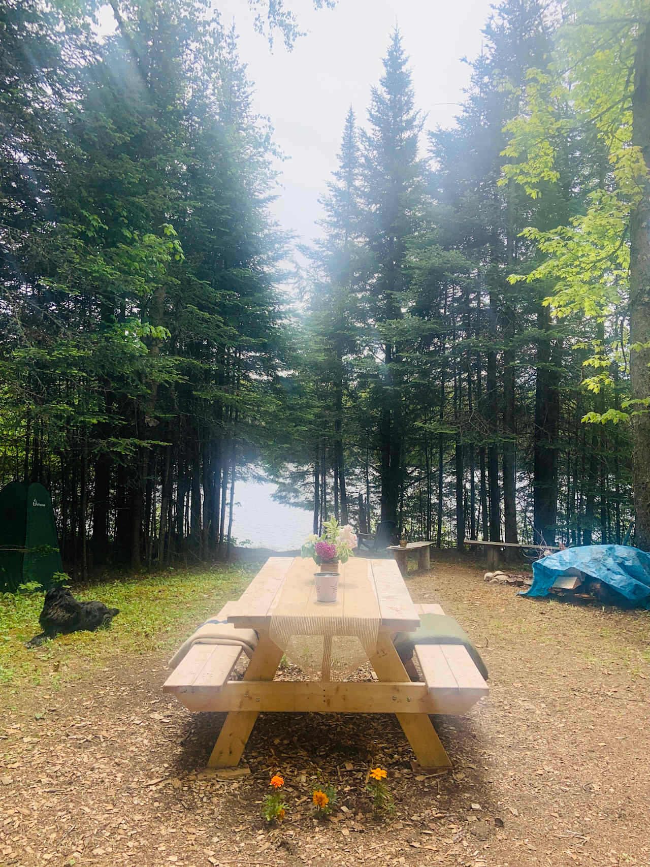 Picnic table for dining :). And our dog, Suzie!