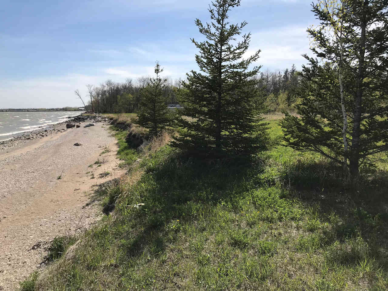 Lake Winnipeg Beachfront Meadow