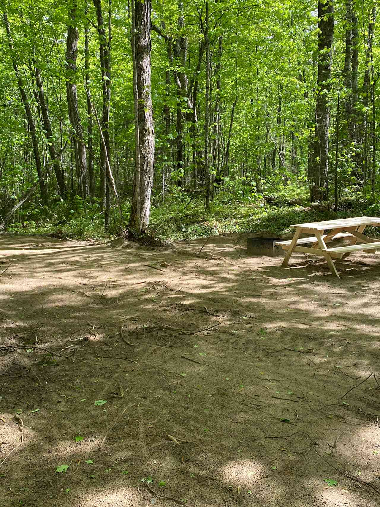 Tent Camping with Nature