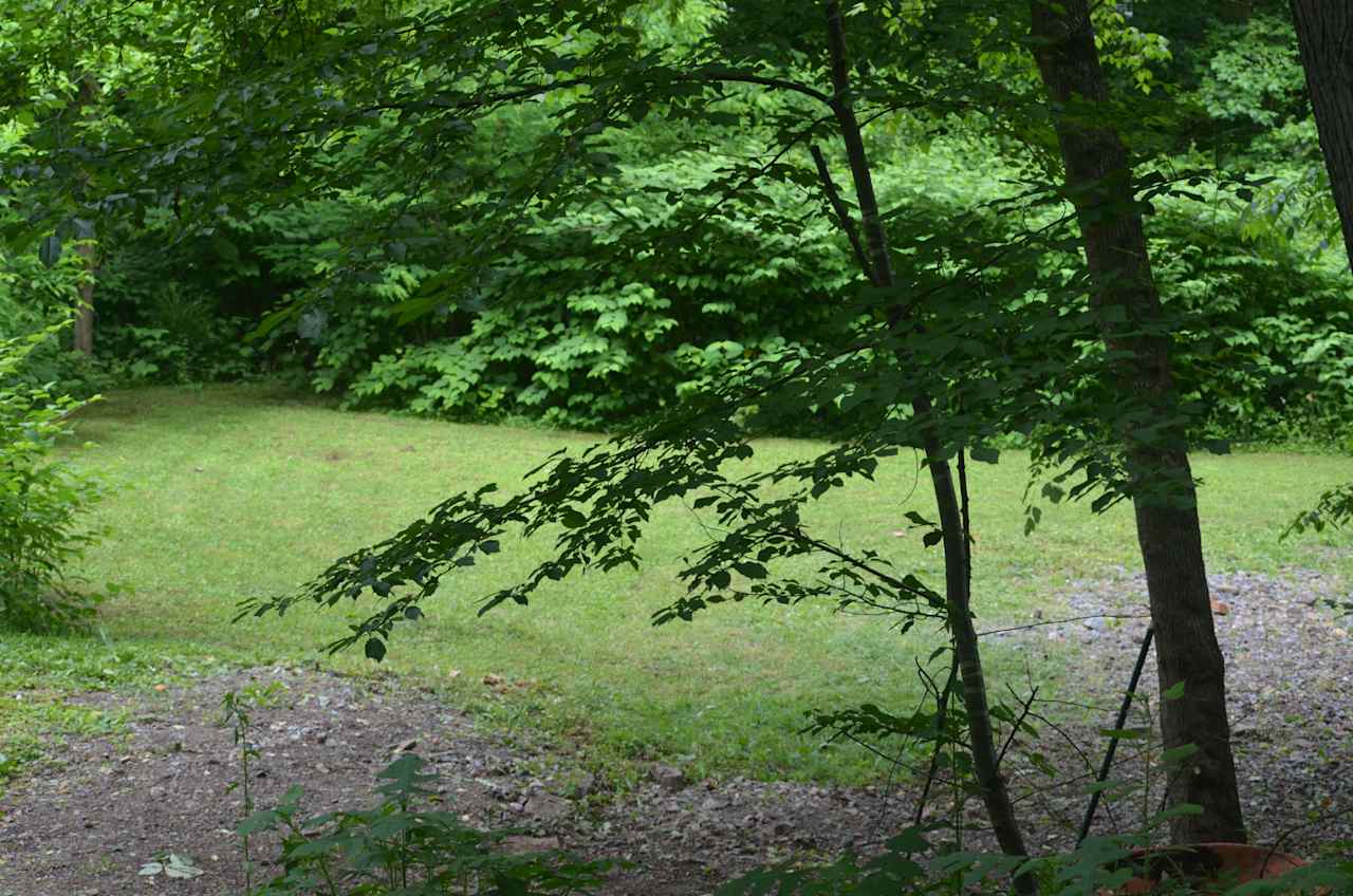 This is a shot of the creekside campsite #1 and parking.