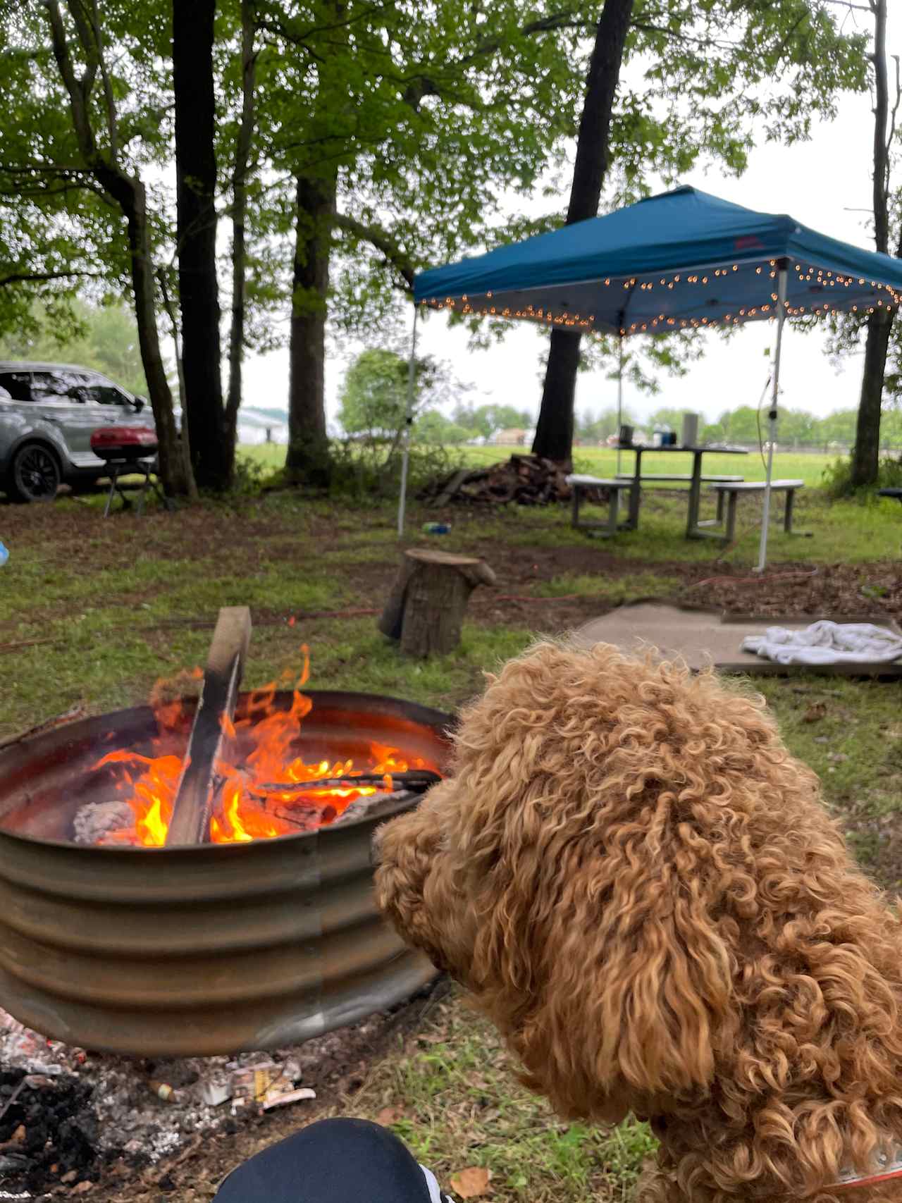 By the fire.  The host provided fire wood.  