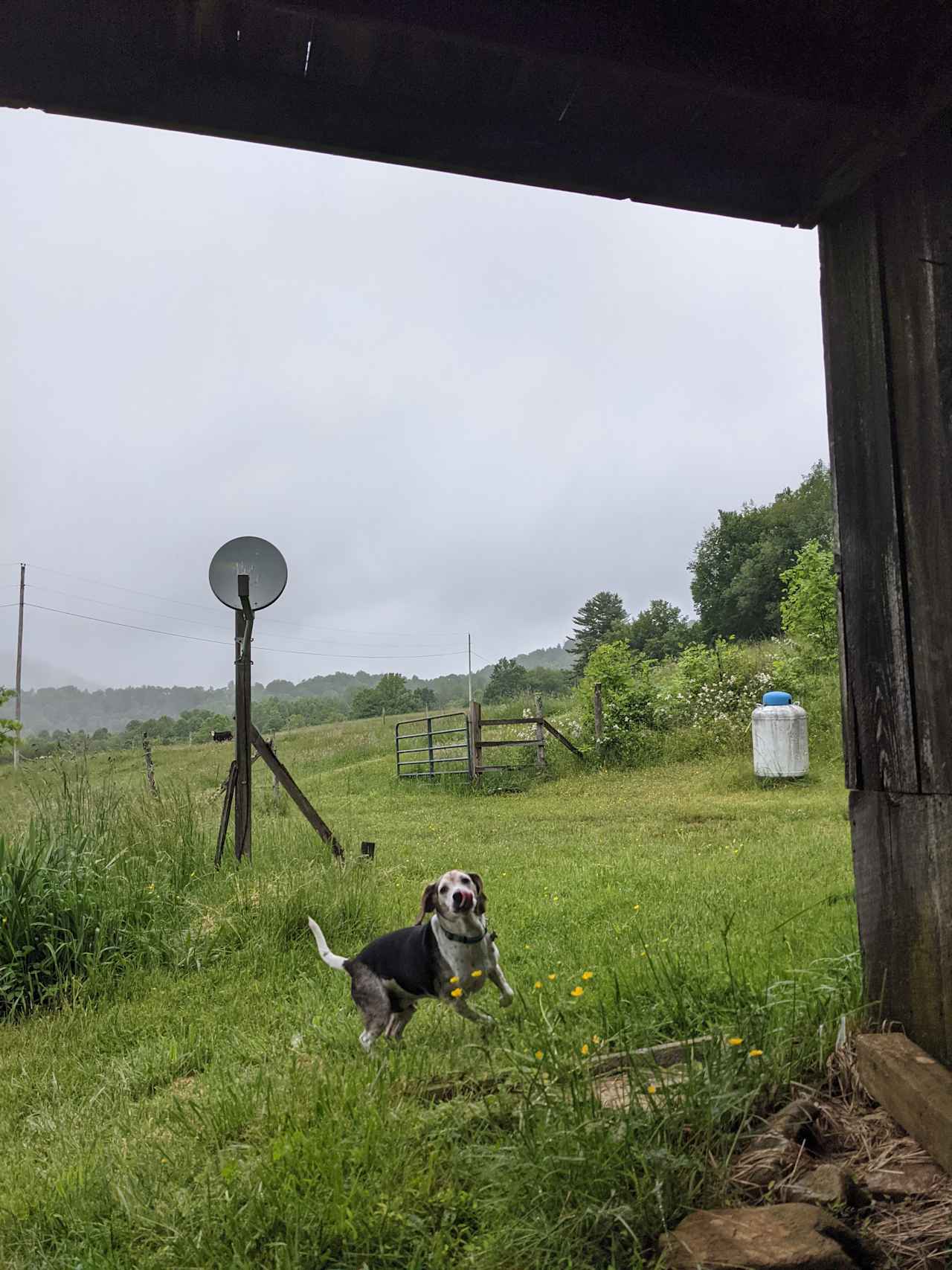 Creag Creek Farm