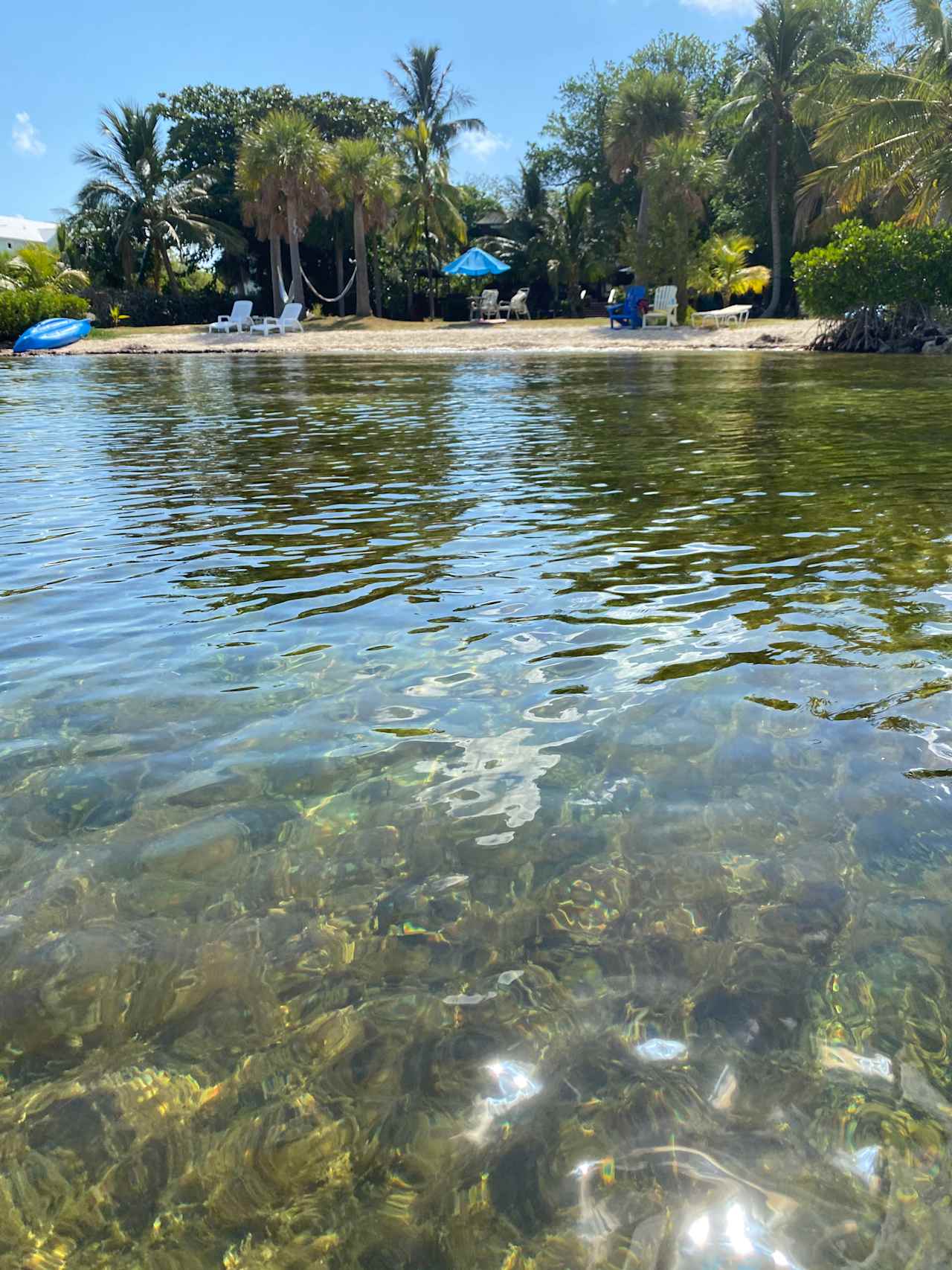 Bayside beach, fishing and camping