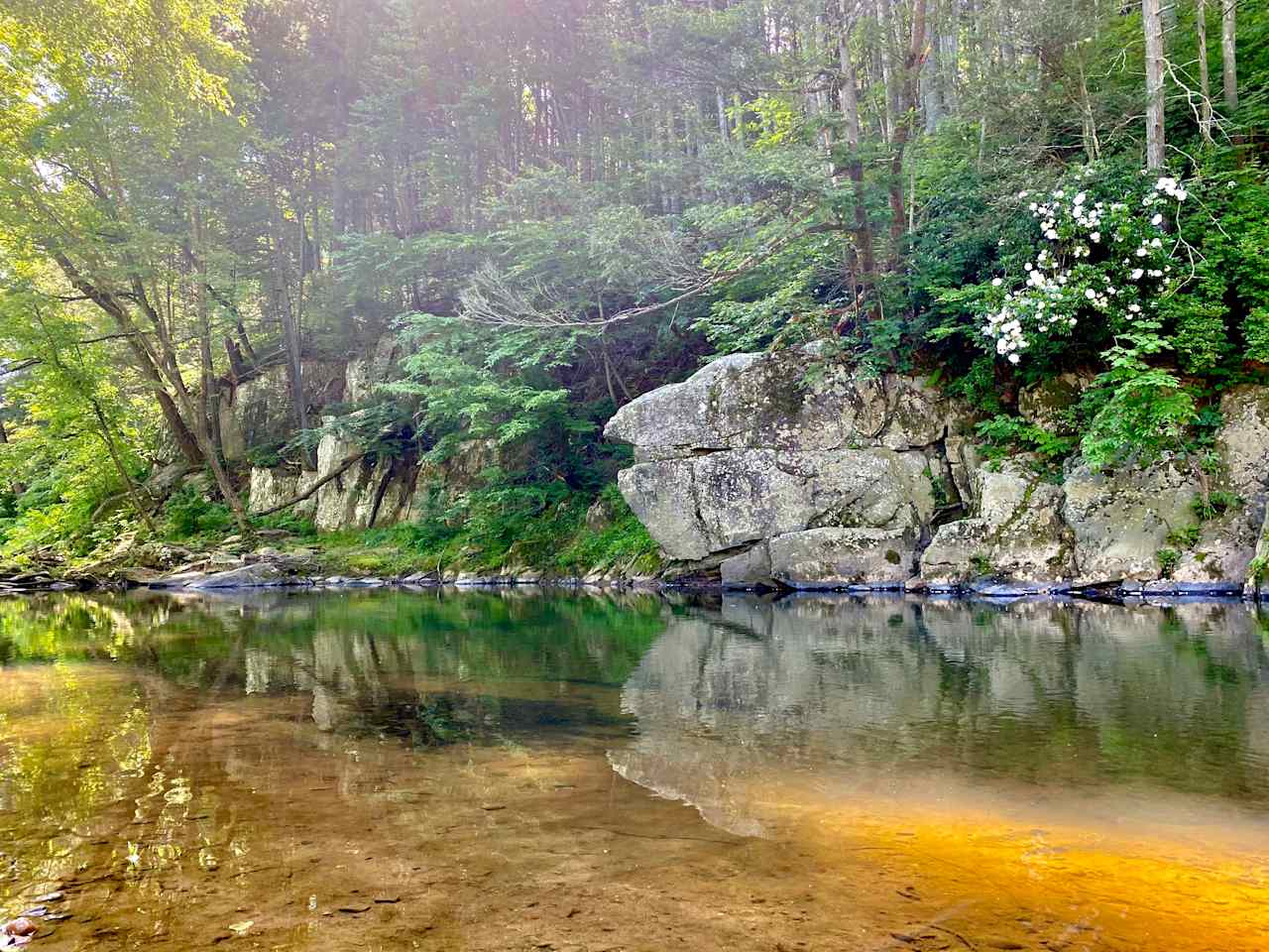 Private Paradise on Rivers Bend