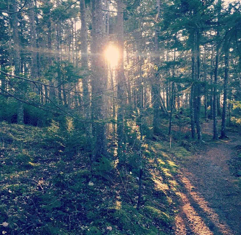 River Point Campsite