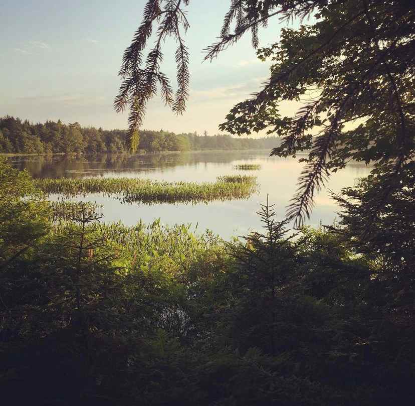 River Point Campsite