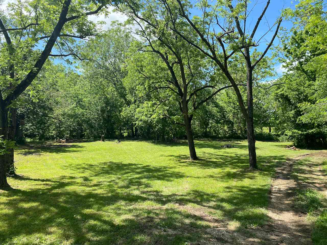 Creekside grassy field.