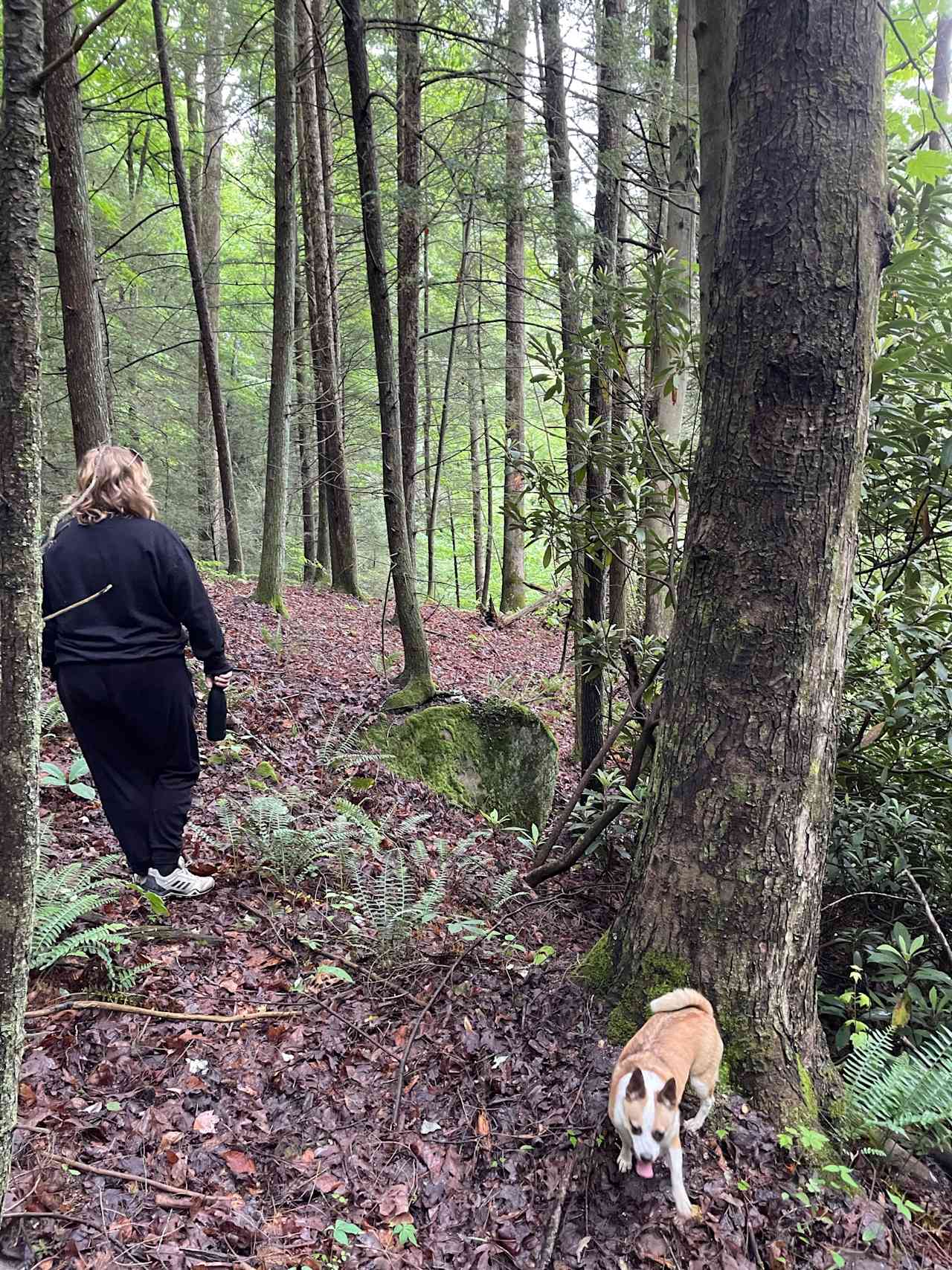 another nice hike on the property 