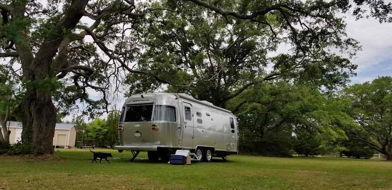 Live Oaks Farm