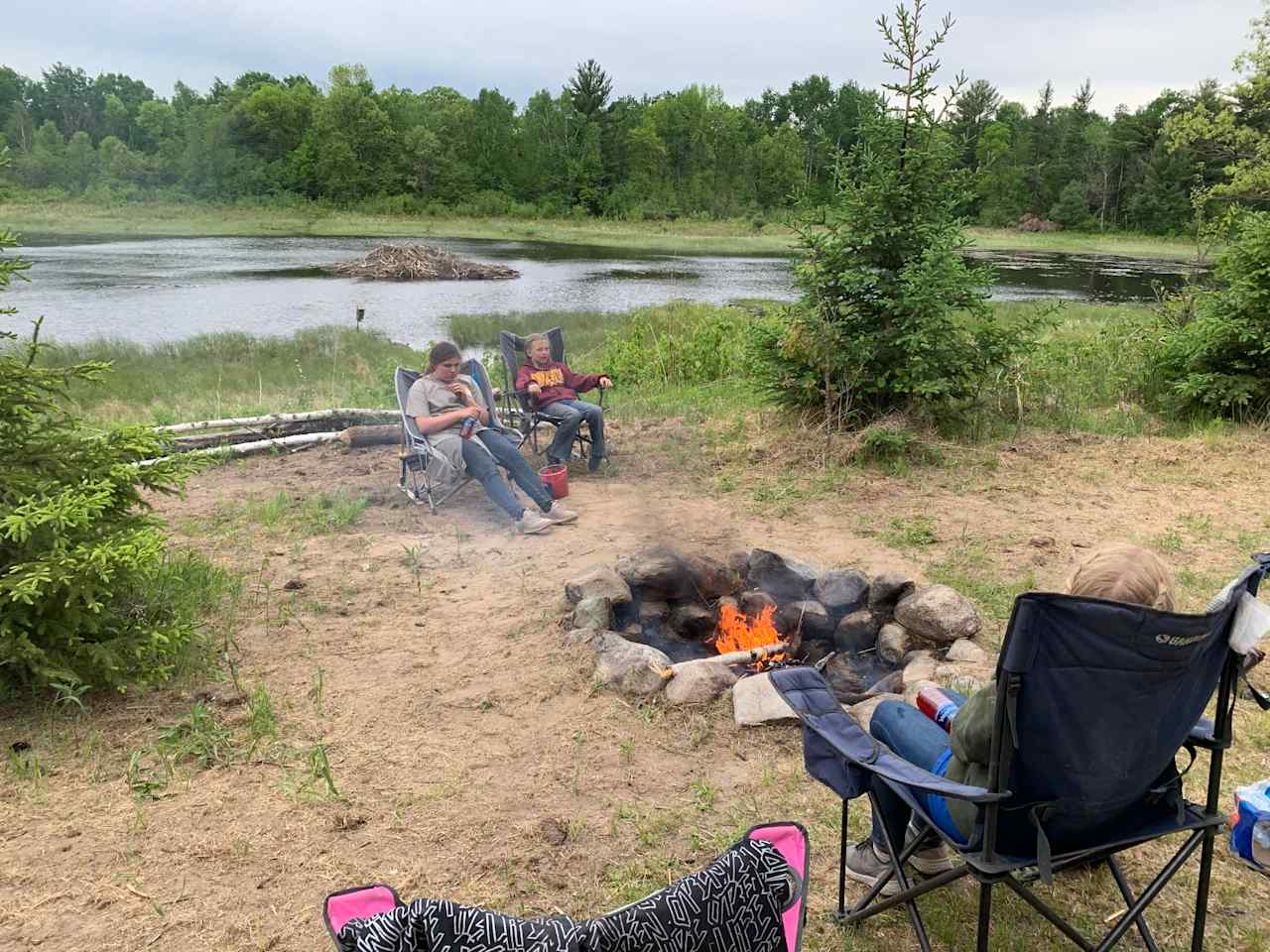 Forest Cleanse on 40 Acres!