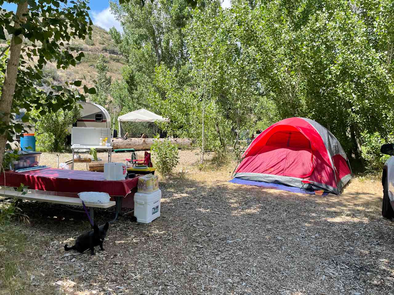 Kings Canyon Campground