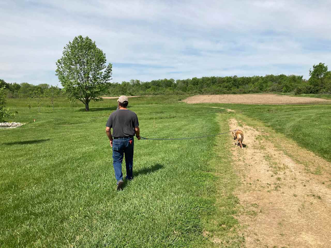 Many places to walk. Very spacious.