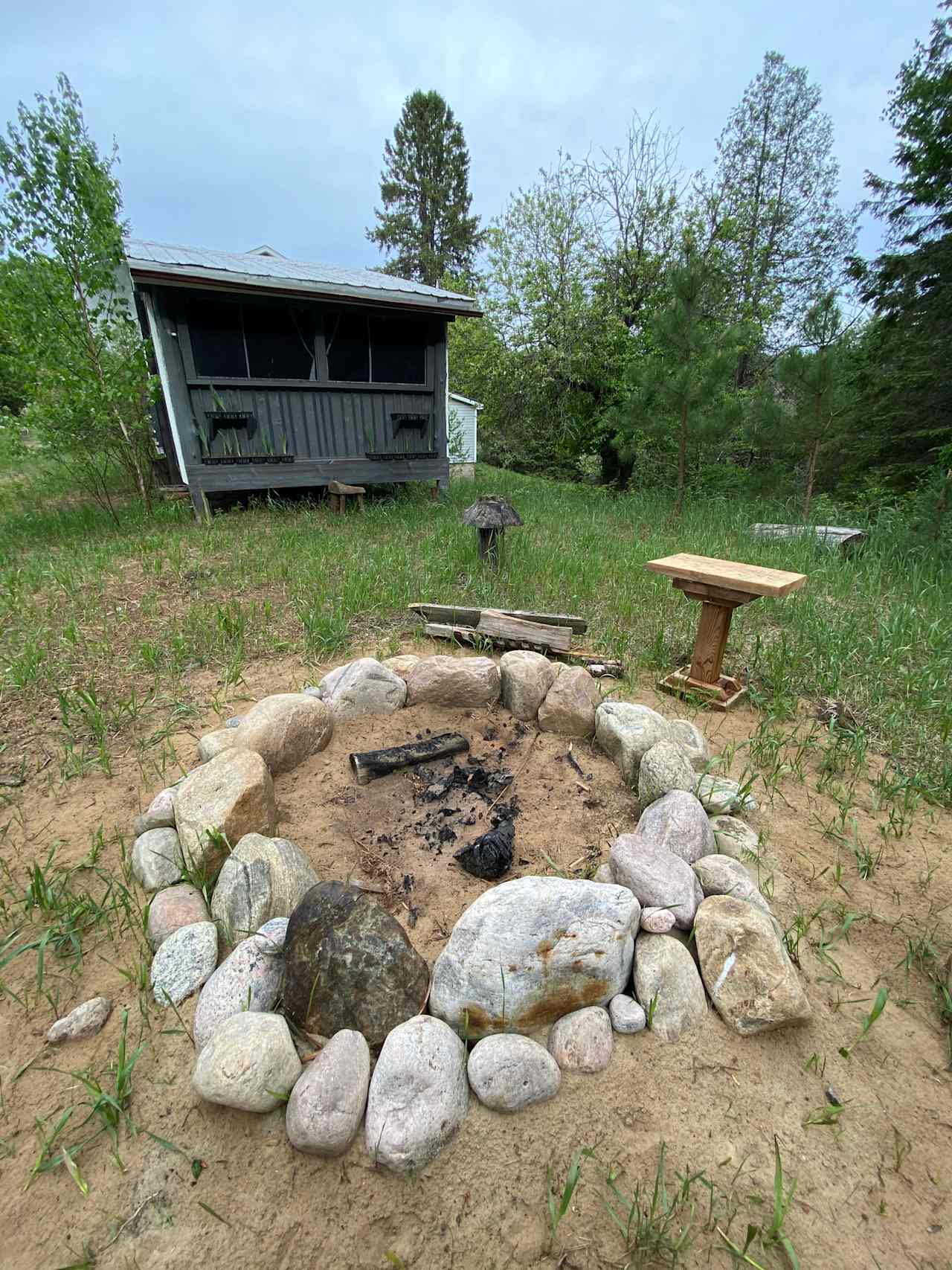 Cabin in the Forest