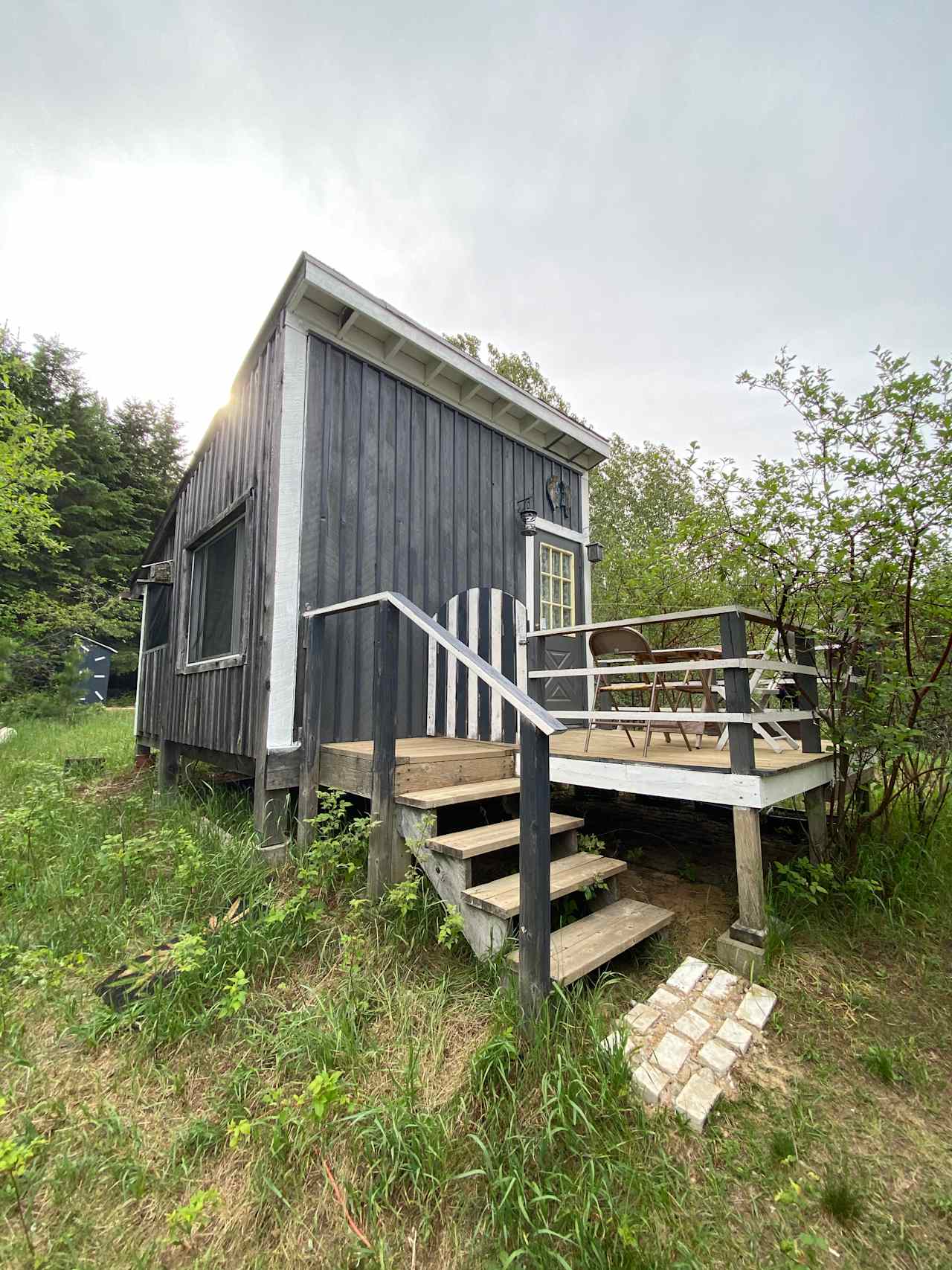 Cabin in the Forest