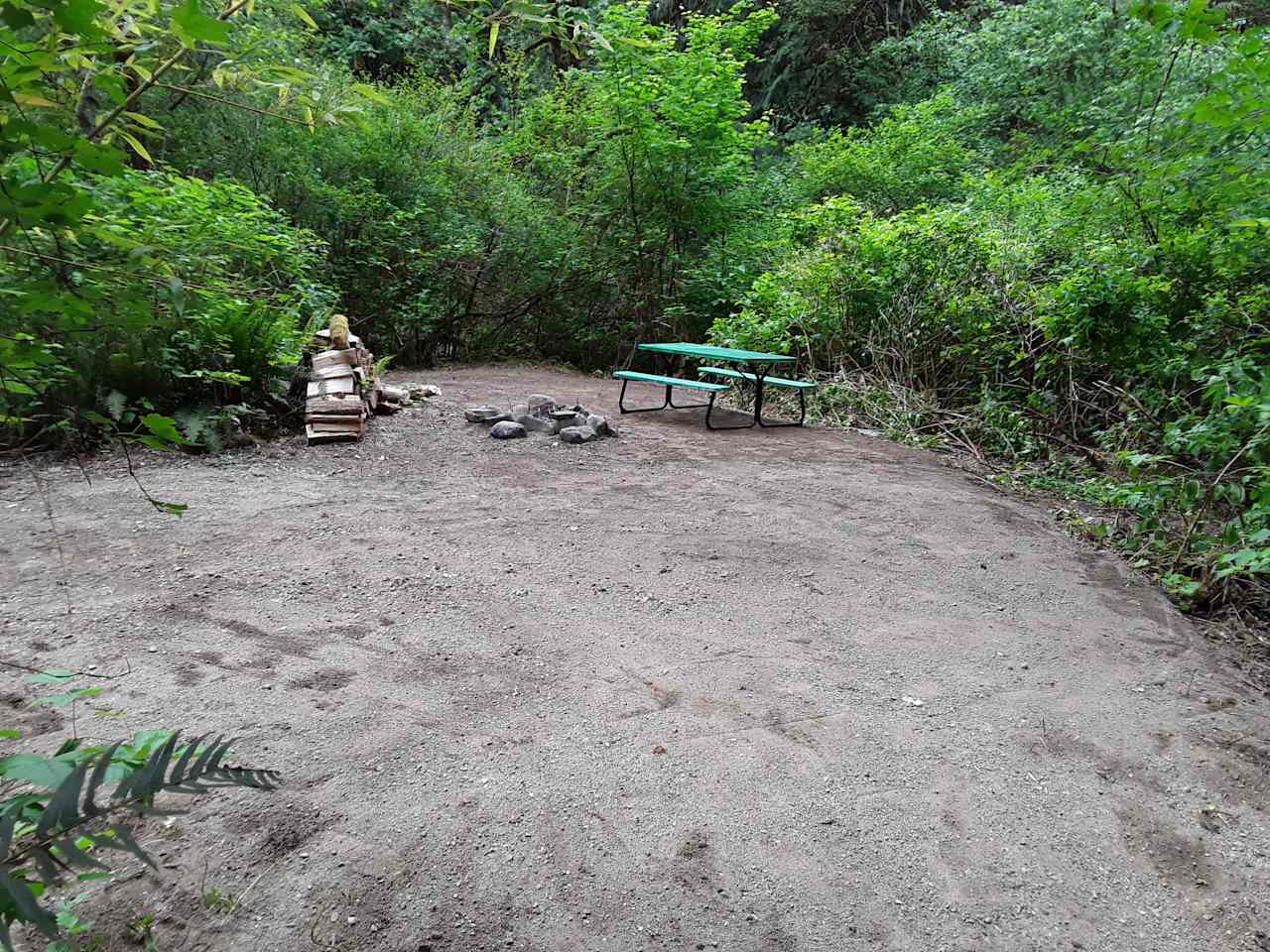 Camping in forest, next to a creek.